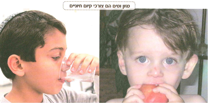 (בספר ארבעה איורים, היעזר במנחה)